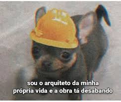Cota Sobrevivência à Reforma